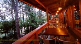citrus trail 4
