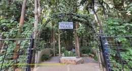 citrus trail 2