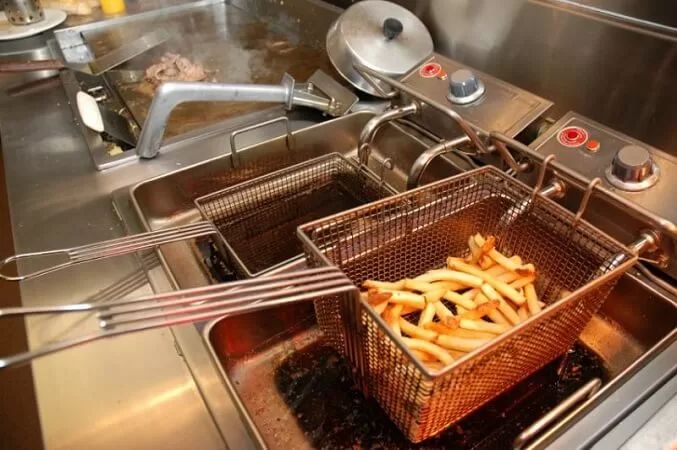 Commercial Gas Deep Fryer