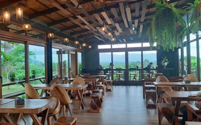How Eco-Luxury Wildlife Retreats in India Are Attracting Investors