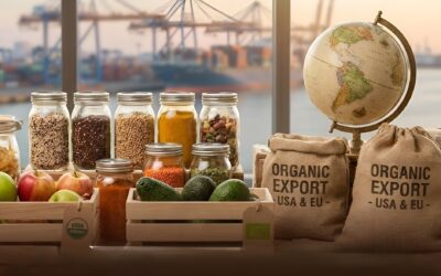 India’s Food Revolution: Key Trends to Watch in 2026